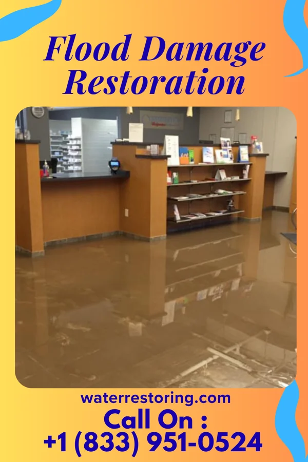 Flood Damage Restoration in Willacoochee, GA