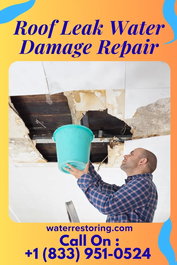 Roof Leak Water Damage Repair in Willacoochee, GA